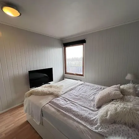 Apartment Stor Med To Balkonger